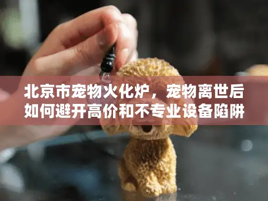 北京市宠物火化炉，宠物离世后如何避开高价和不专业设备陷阱？