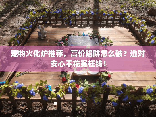 宠物火化炉推荐，高价陷阱怎么破？选对安心不花冤枉钱！