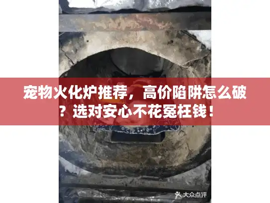宠物火化炉推荐，高价陷阱怎么破？选对安心不花冤枉钱！