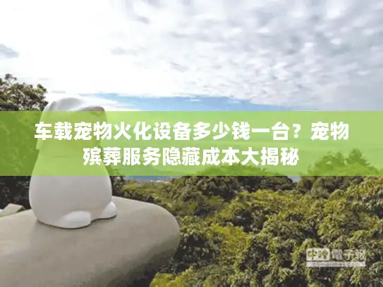 车载宠物火化设备多少钱一台？宠物殡葬服务隐藏成本大揭秘