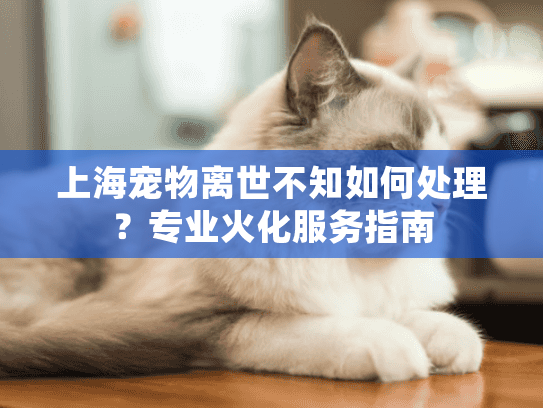 上海宠物离世不知如何处理?专业火化服务指南 上海宠物离世不知如何处理?专业火化服务指南