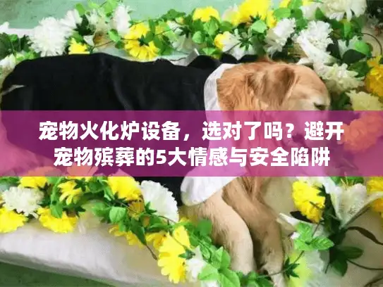 宠物火化炉设备，选对了吗？避开宠物殡葬的5大情感与安全陷阱