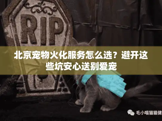 北京宠物火化服务怎么选？避开这些坑安心送别爱宠