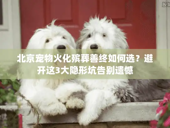 北京宠物火化殡葬善终如何选？避开这3大隐形坑告别遗憾