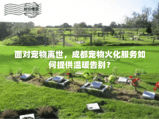 面对宠物离世,成都宠物火化服务如何提供温暖告别? 面对宠物离世,成都宠物火化服务如何提供温暖告别?