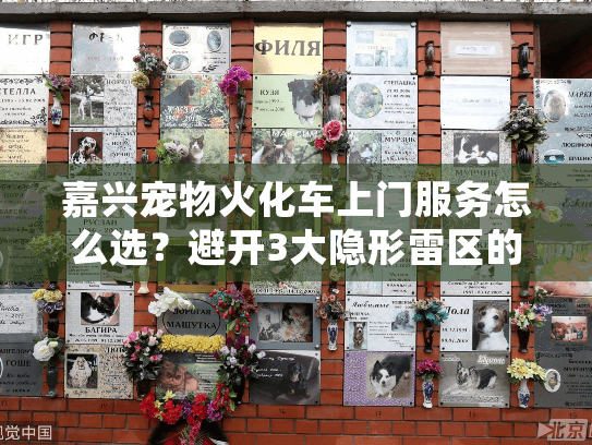 嘉兴宠物火化车上门服务怎么选？避开3大隐形雷区的实操手册