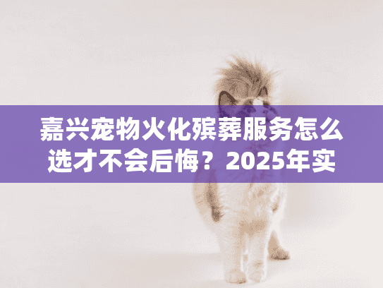 嘉兴宠物火化殡葬服务怎么选才不会后悔？2025年实地排查的避坑指南
