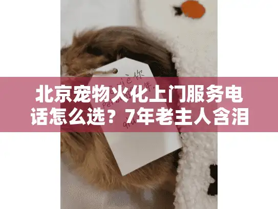 北京宠物火化上门服务电话怎么选？7年老主人含泪总结避坑指南