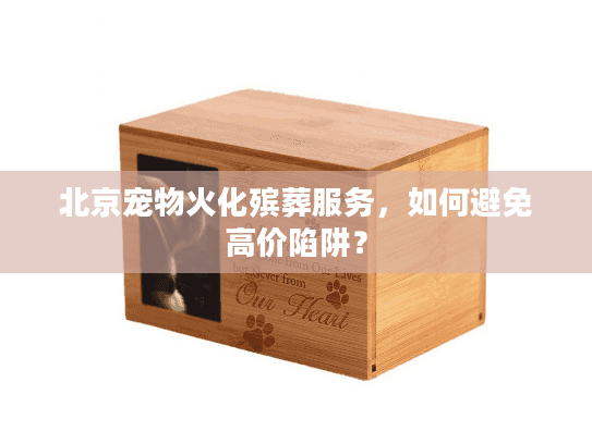 北京宠物火化殡葬服务，如何避免高价陷阱？
