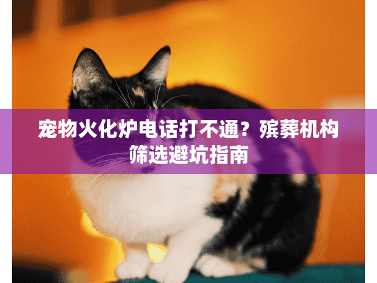 宠物火化炉电话打不通?殡葬机构筛选避坑指南 宠物火化炉电话打不通?殡葬机构筛选避坑指南