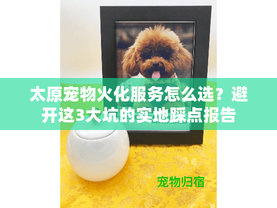 太原宠物火化服务怎么选？避开这3大坑的实地踩点报告