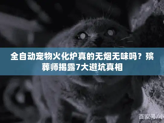 全自动宠物火化炉真的无烟无味吗？殡葬师揭露7大避坑真相