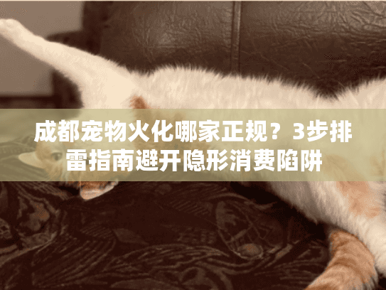成都宠物火化哪家正规?3步排雷指南避开隐形消费陷阱 成都宠物火化哪家正规?3步排雷指南避开隐形消费陷阱