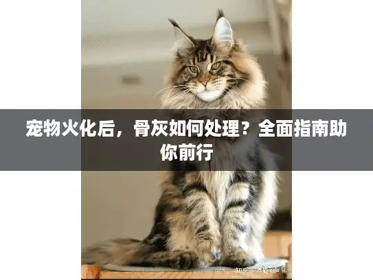 宠物火化后,骨灰如何处理?全面指南助你前行 宠物火化后,骨灰如何处理?全面指南助你前行