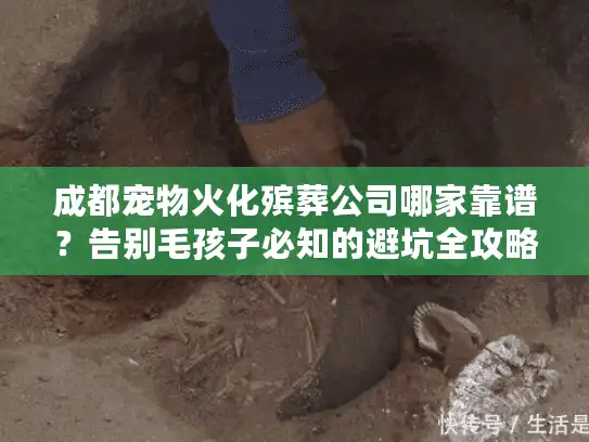 成都宠物火化殡葬公司哪家靠谱?告别毛孩子必知的避坑全攻略 成都宠物火化殡葬公司哪家靠谱?告别毛孩子必知的避坑全攻略