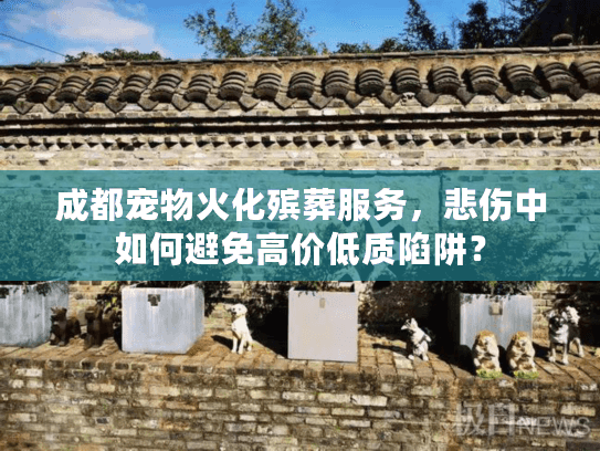 成都宠物火化殡葬服务，悲伤中如何避免高价低质陷阱？