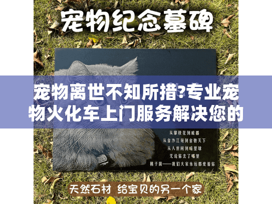宠物离世不知所措?专业宠物火化车上门服务解决您的难题