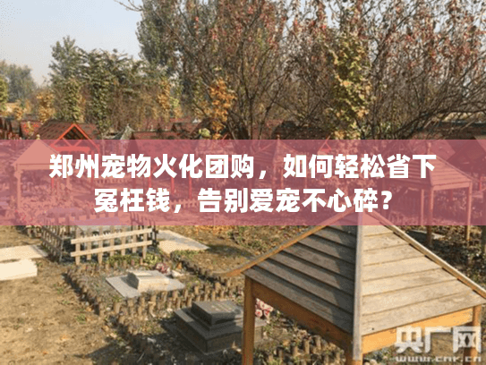 郑州宠物火化团购，如何轻松省下冤枉钱，告别爱宠不心碎？