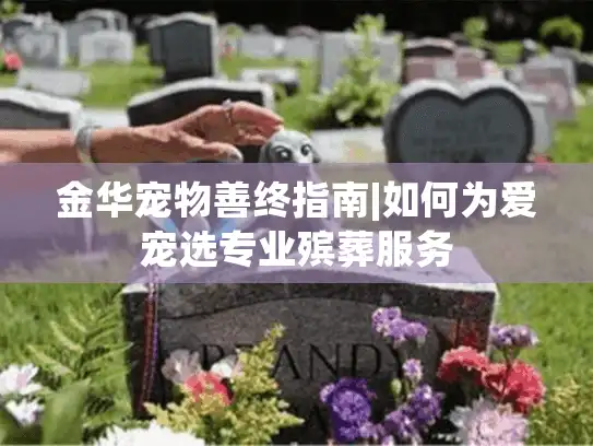 金华宠物善终指南|如何为爱宠选专业殡葬服务