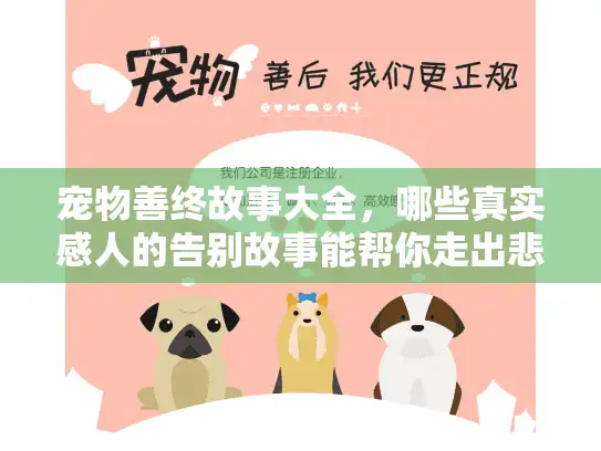 宠物善终故事大全，哪些真实感人的告别故事能帮你走出悲伤？