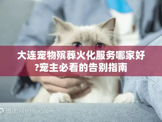 大连宠物殡葬火化服务哪家好?宠主必看的告别指南 大连宠物殡葬火化服务哪家好?宠主必看的告别指南