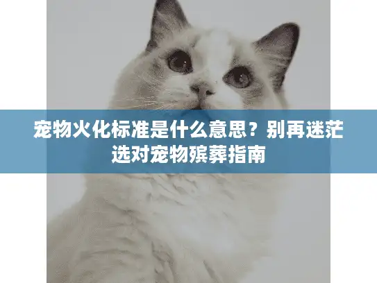 宠物火化标准是什么意思?别再迷茫选对宠物殡葬指南 宠物火化标准是什么意思?别再迷茫选对宠物殡葬指南