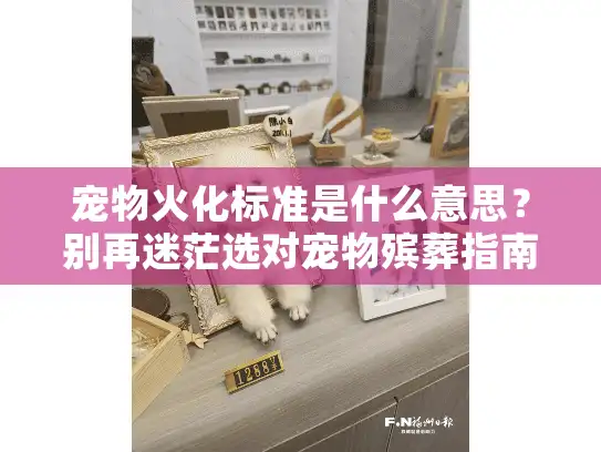 宠物火化标准是什么意思?别再迷茫选对宠物殡葬指南 宠物火化标准是什么意思?别再迷茫选对宠物殡葬指南