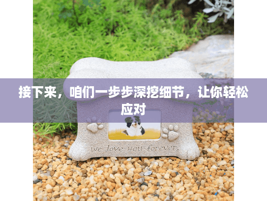 接下来，咱们一步步深挖细节，让你轻松应对