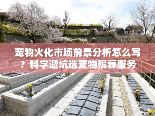 宠物火化市场前景分析怎么写？科学避坑选宠物殡葬服务