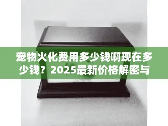宠物火化费用多少钱啊现在多少钱？2025最新价格解密与三大避坑法则