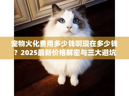 宠物火化费用多少钱啊现在多少钱？2025最新价格解密与三大避坑法则