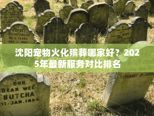 沈阳宠物火化殡葬哪家好？2025年最新服务对比排名