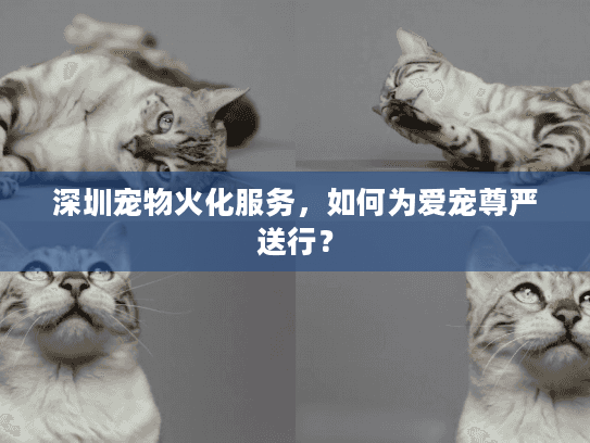 深圳宠物火化服务，如何为爱宠尊严送行？