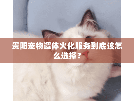 贵阳宠物遗体火化服务到底该怎么选择？
