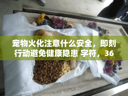 宠物火化注意什么安全，即刻行动避免健康隐患 字符，36）