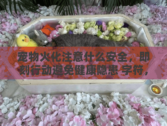 宠物火化注意什么安全，即刻行动避免健康隐患 字符，36）