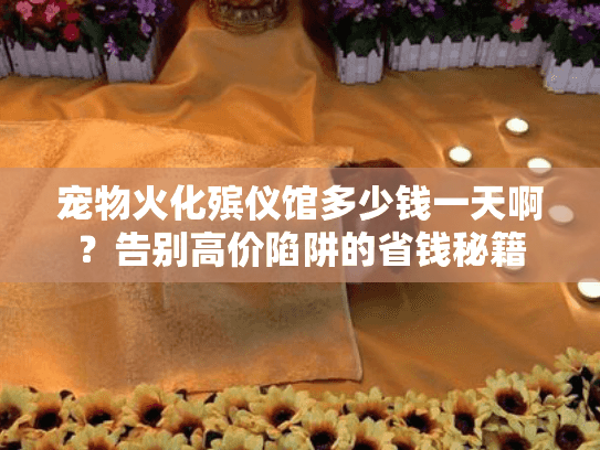 宠物火化殡仪馆多少钱一天啊？告别高价陷阱的省钱秘籍