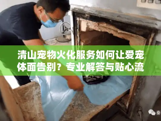 清山宠物火化服务如何让爱宠体面告别？专业解答与贴心流程指南