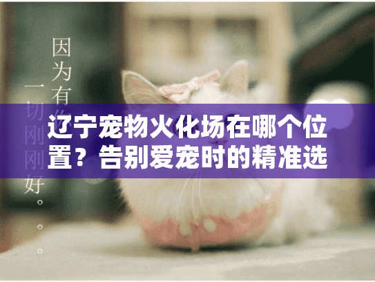 辽宁宠物火化场在哪个位置？告别爱宠时的精准选择