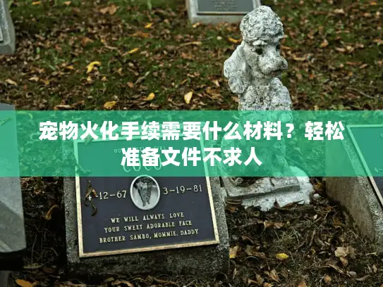 宠物火化手续需要什么材料?轻松准备文件不求人 宠物火化手续需要什么材料?轻松准备文件不求人