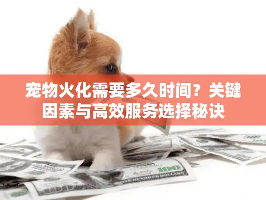 宠物火化需要多久时间?关键因素与高效服务选择秘诀 宠物火化需要多久时间?关键因素与高效服务选择秘诀