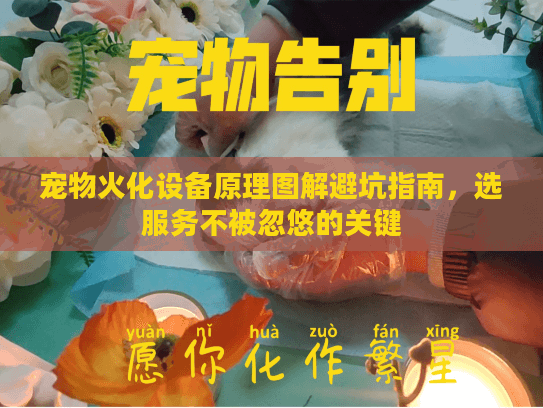 宠物火化设备原理图解避坑指南，选服务不被忽悠的关键