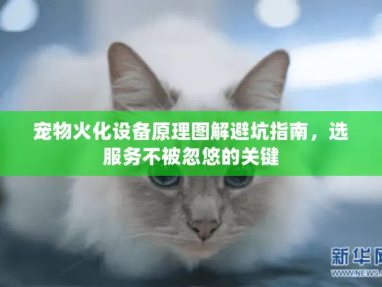 宠物火化设备原理图解避坑指南，选服务不被忽悠的关键