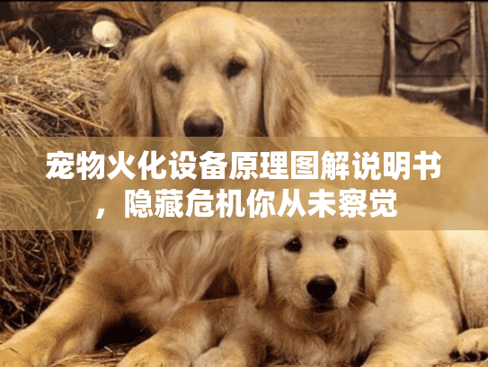 宠物火化设备原理图解说明书，隐藏危机你从未察觉