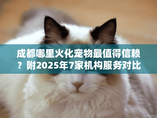 成都哪里火化宠物最值得信赖？附2025年7家机构服务对比