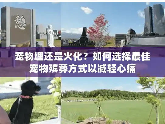 宠物埋还是火化？如何选择最佳宠物殡葬方式以减轻心痛