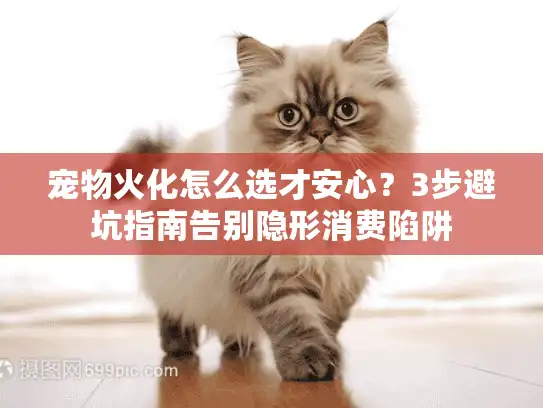 宠物火化怎么选才安心？3步避坑指南告别隐形消费陷阱