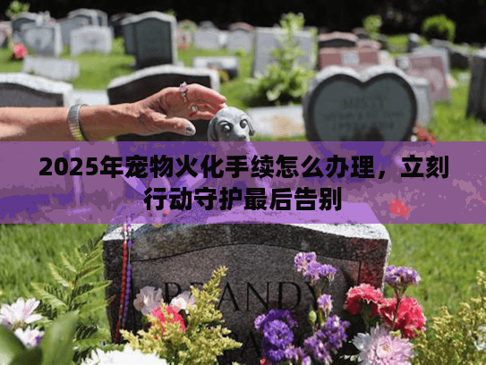 2025年宠物火化手续怎么办理，立刻行动守护最后告别