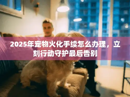 2025年宠物火化手续怎么办理，立刻行动守护最后告别