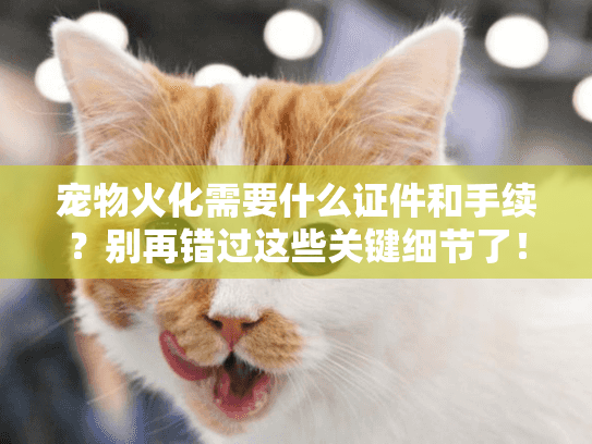 宠物火化需要什么证件和手续？别再错过这些关键细节了！